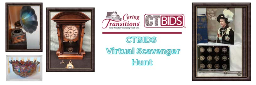 CTBIDS Virtual Scavenger Hunt!